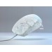 Turtle Beach Pure Sel White