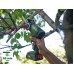 Bosch Bosch cordless saw NanoBlade UniversalCut 18V-65 solo, 18 volts, chainsaw (green/black, without battery and charger, POWER FOR ALL ALLIANCE)