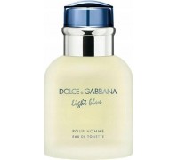 Alkotest DOLCE&GABBANA Light Blue Pour Homme EDT spray 40ml