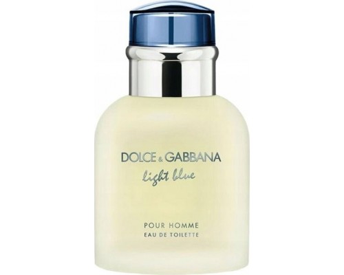 Alkotest DOLCE&GABBANA Light Blue Pour Homme EDT spray 40ml