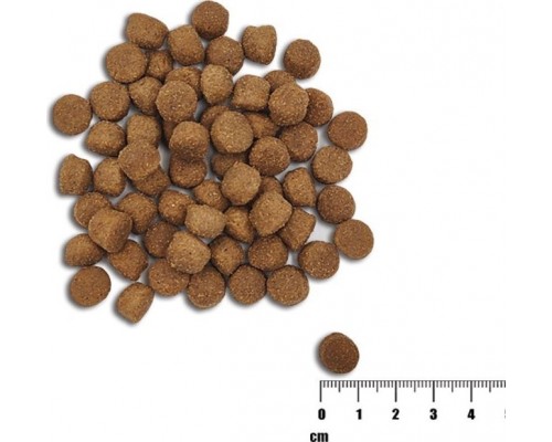 VetExpert VetExpert Raw Paleo Healthy Grain Salmon&Barley Puppy - Food dry for dogs - 10kg
