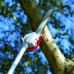 KASEI KASEI QJB270 OKRZESYWARKA PIŁA PILARKA PRZECINARKA SPALINOWA ŁANCUCHOWA PODKRZESYWARKA DO DREWNA NA TELESKOPOWYM WYSIĘGNIKU