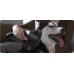 Xiaomi Vacuum Cleaner G20 Max