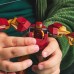 Marvel robots Dzelzs vīrs pret Ultronu (76307)