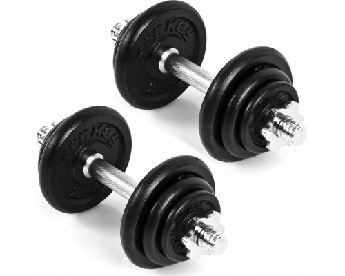 Spokey Dumbbells Egir cast iron 2 x 10 kg