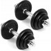 Spokey Dumbbells Egir cast iron 2 x 10 kg