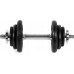 Spokey Dumbbells Egir cast iron 2 x 10 kg