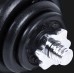 Spokey Dumbbells Egir cast iron 2 x 10 kg
