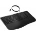 HP 485 CFT WD KBD GERMANY