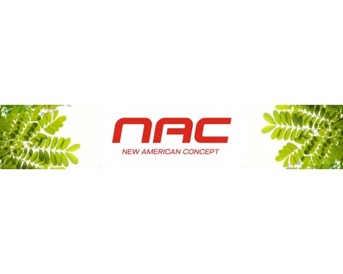 NAC ODKURZACZ WARSZTATOWY  20L 20V BEZ AKUM. I ŁADOWARKI