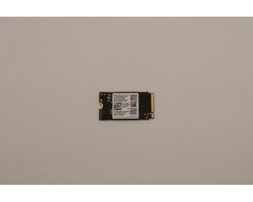 SSD Lenovo 256GB M.2 2242 PCIe NVMe SSD