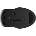 250 Dual Mouse