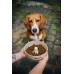 Josera Mother&Puppy Salmon&Rice 3kg