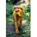 Josera Mother&Puppy Salmon&Rice 3kg