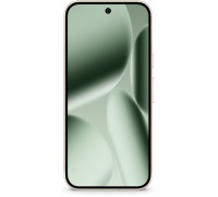 Pixel 10 Pro 5G 16/256GB Green  (GA10316-GB)
