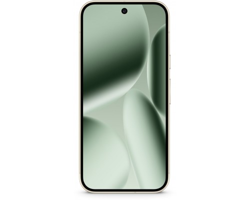 Pixel 10 Pro 5G 16/256GB Green  (GA10316-GB)