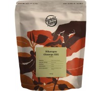 Instytut Kawy Nikaragua Olomega SHG 1 kg