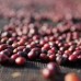 Roastains Kenia Red Fizz FILTR 250g