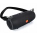 Interlook portable TG-120-BLACK black 12 W