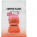 Coffee Plant kawa ziarnista Panama Canephora Filtr Anaerobowy 200 g