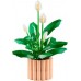 LEGO Botanical Peace Lily (11504)