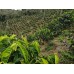 Qualia Kolumbia San Gabriel 200g