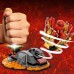 LEGO Ninjago Wybuch Spinjitzu Kai (70686)