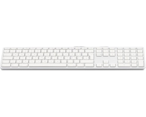 LMP KB-1243 (LMP-KB-1243-IT)