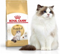 Royal Canin Ragdol Adult karma sucha dla kotów adults rasy ragdoll 10kg