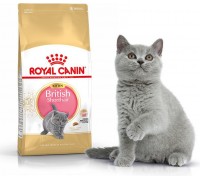 Royal Canin British Shorthair Kitten karma sucha dla kociąt, do 12 miesiąca, rasy brytyjski krótkowłosy 2kg
