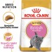 Royal Canin British Shorthair Kitten karma sucha dla kociąt, do 12 miesiąca, rasy brytyjski krótkowłosy 2kg