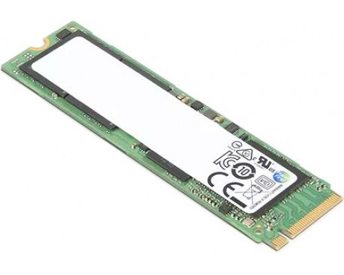Lenovo Ramaxel S265 M.2 2242 256GB PC