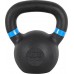 inSPORTline Powder cast iron 12 kg