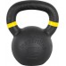 inSPORTline Powder cast iron 16 kg