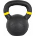 inSPORTline Powder cast iron 16 kg