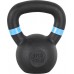 inSPORTline Powder cast iron 6 kg