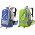 Nils Extreme Bessegen CBT7107 35 l Green
