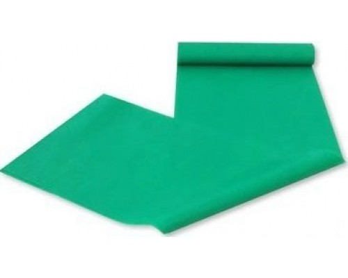 Master Guma do Ćwiczeń 120 x 15 x 0.5 mm zielona