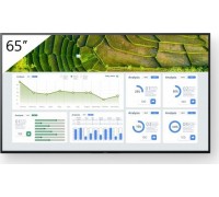 Sony Bravia FW-65BZ30L