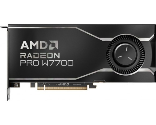 AMD Radeon Pro W7700 16GB GDDR6 (100-300000006)