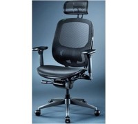 Razer Razer Fujin Pro, mesh (Black, incl. 3-D headrest)