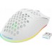 Deltaco itin lengva žaidimų pelė DELTACO GAMING Rožinis LINE PM80 70g svorio, RGB, SPCP6651, 400-4800 DPI, 1000 Hz, rožinė / GAM-120-P