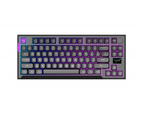 PREYON Silent claw TKL Brown Gateron Brown Pro (PSCTB85B)