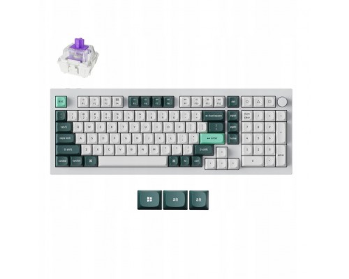 Keychron Q5H-P1