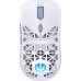 Endorfy LIV Plus Wireless  (EY6A017)
