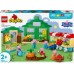 10461 LEGO® DUPLO Senelio Paršos sodas ir šiltnamis