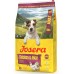 Mini Adult Chicken & Rice 10kg