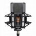 Lewitt PURE TUBE Studio Set