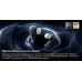 Rose Technics (ROSESELSA) EARFREE i5 - champagne - TWS