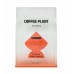 COFFEE PLANT Etiopia Gedeb Lalesa 250g